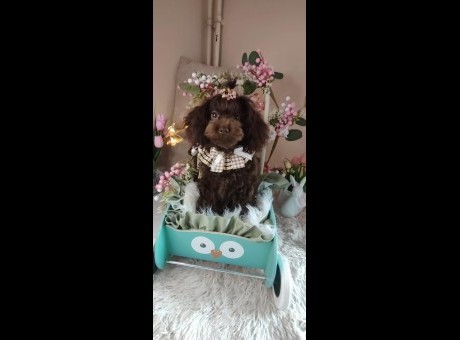 1ba77f9-48bc-4161-ad93-121b5c0aed62 _1_.jpg